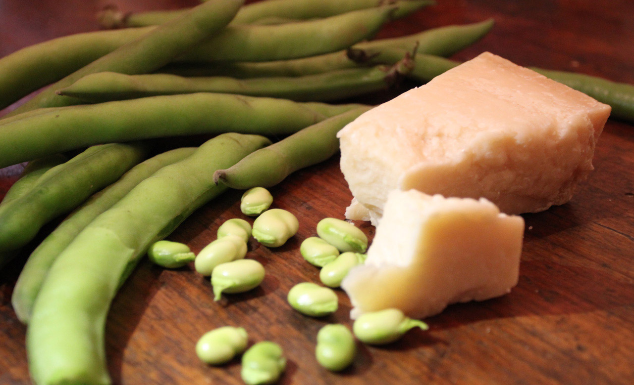 Fave and Pecorino_SM