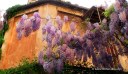 Spring in Rome on Via Margutta with Stefano's RomeCabs